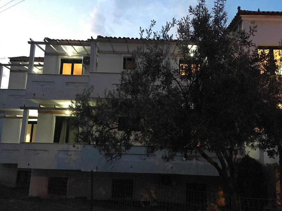 Chalkiotis Hotel Anaxos Eksteriør billede